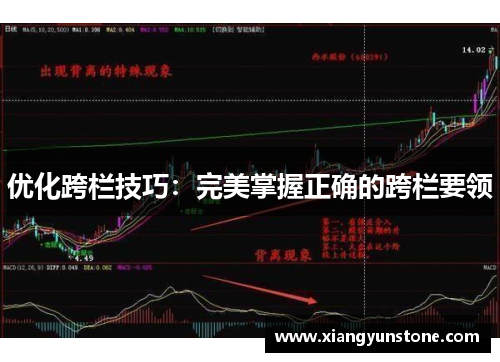 优化跨栏技巧：完美掌握正确的跨栏要领
