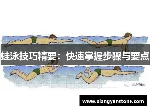 蛙泳技巧精要：快速掌握步骤与要点