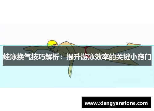 蛙泳换气技巧解析：提升游泳效率的关键小窍门